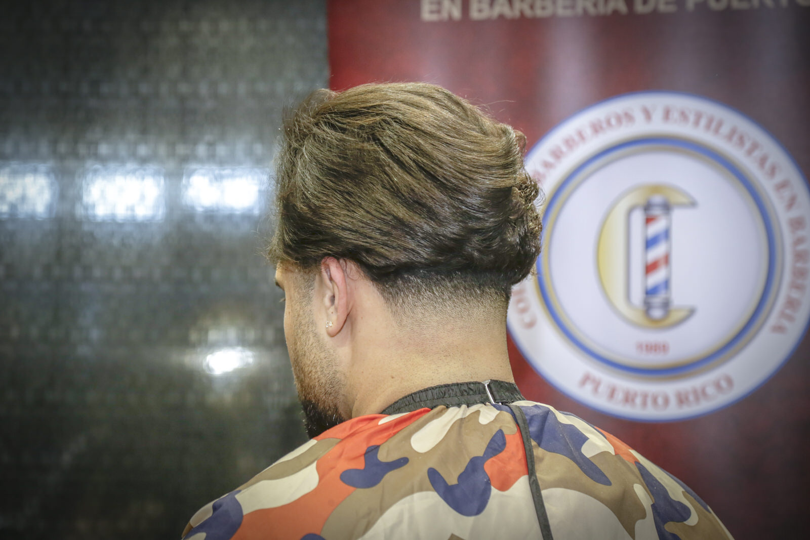 Professional Beautyshow Ponce 2, foto 10