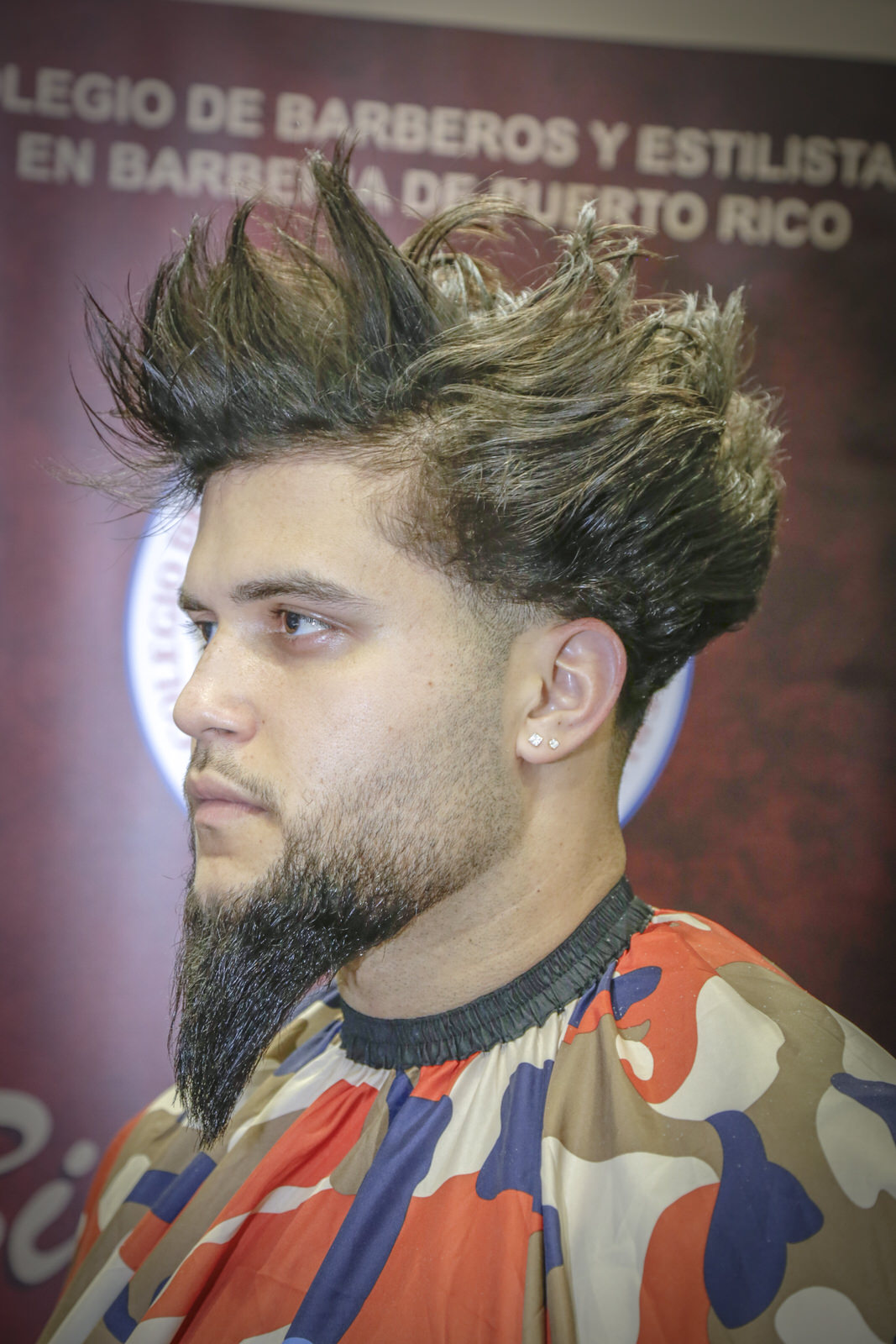 Professional Beautyshow Ponce 2, foto 21