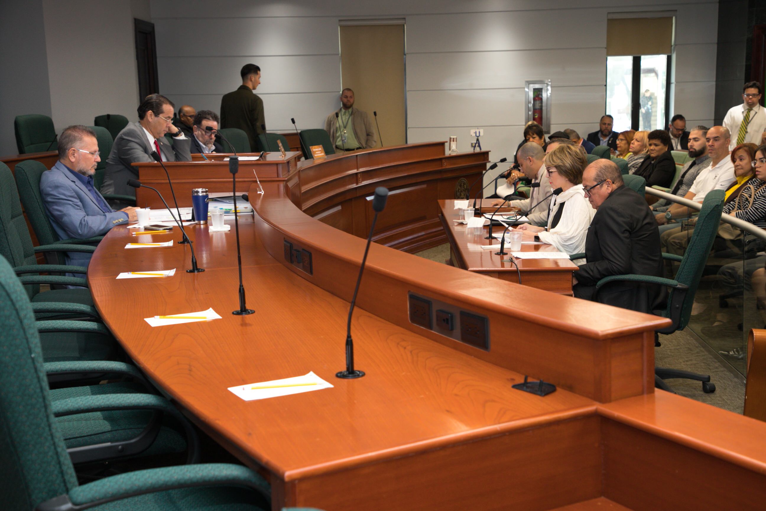Ponencia Comisión Gobierno, foto 16