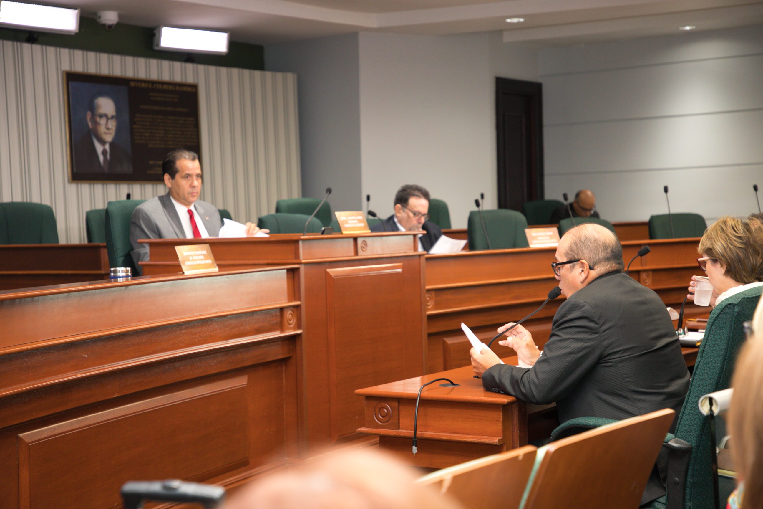 Ponencia Comisión Gobierno, foto 19